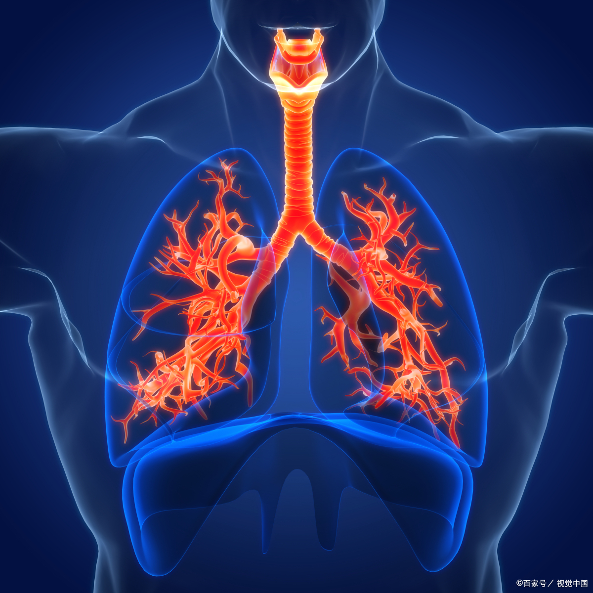 痰湿重健脾祛湿气便秘,痰湿郁结化热中成药