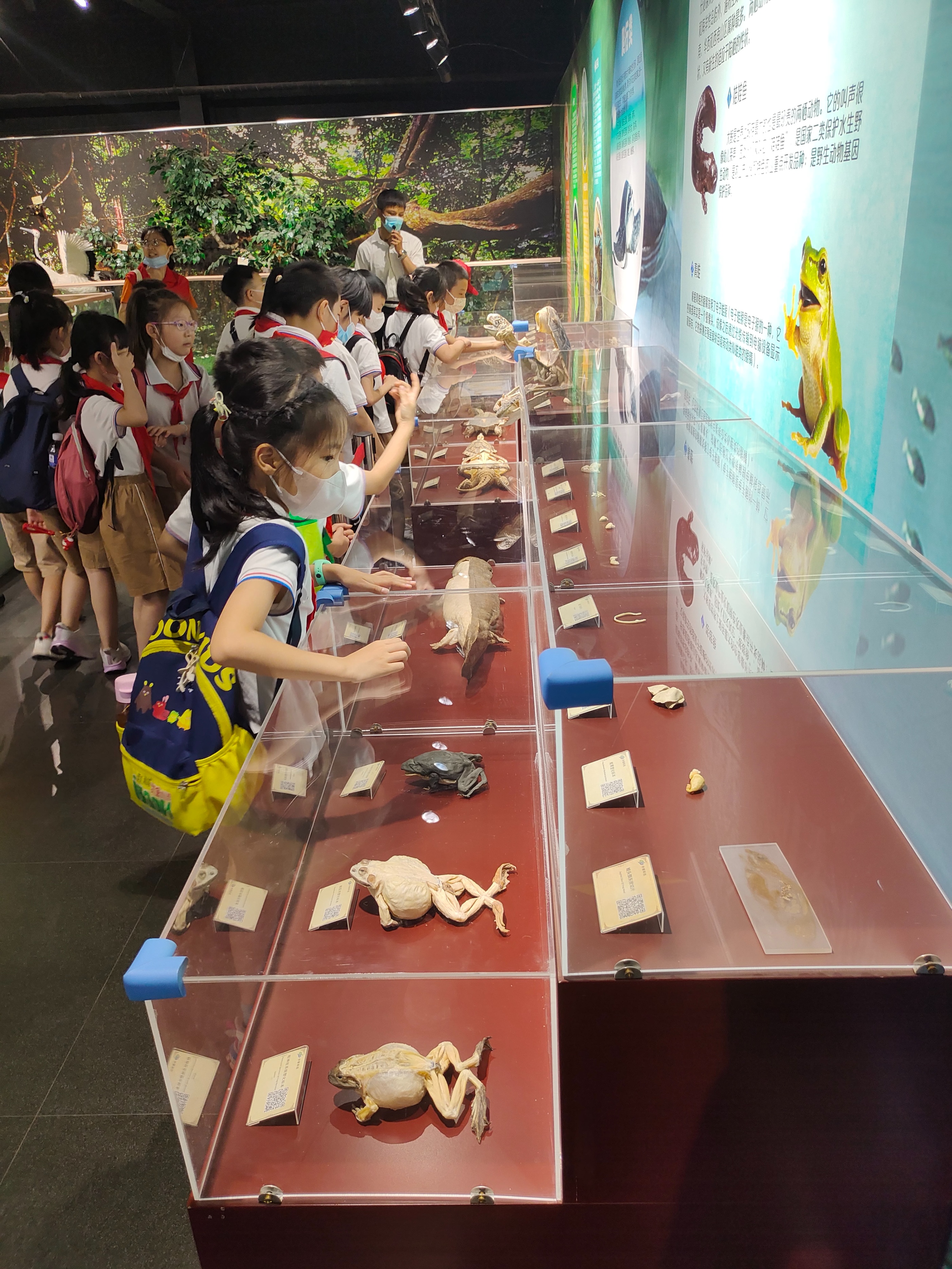 郑州周末带孩子去哪里玩比较好,郑州周末自驾游最佳去处2021