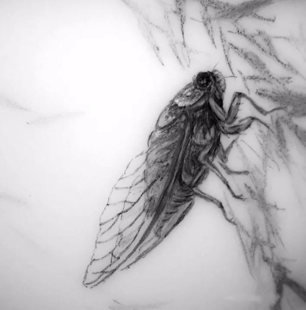 景德镇陶瓷茶器圈里，遍体鳞伤的创新者们