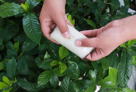 你想要的都在这里，南*夫子京**庙的美食