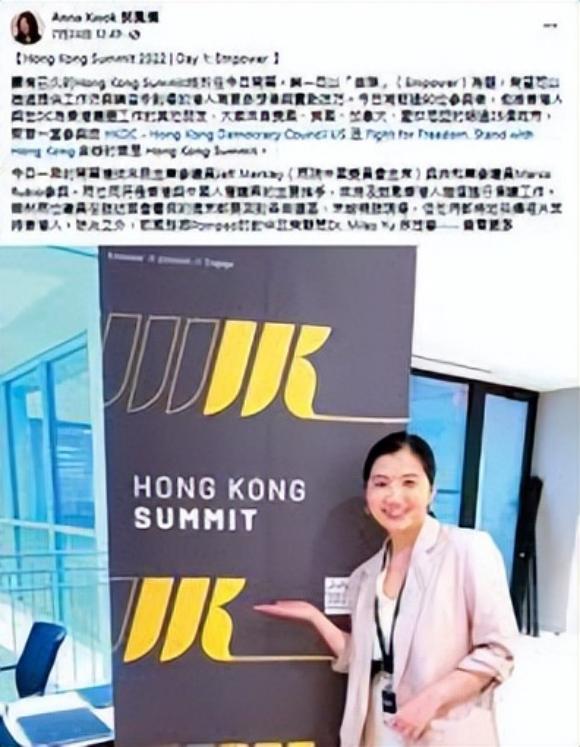 乱港者贼心不死!揽炒派称打国际线,“香港峰会”勾结FBI做汉奸