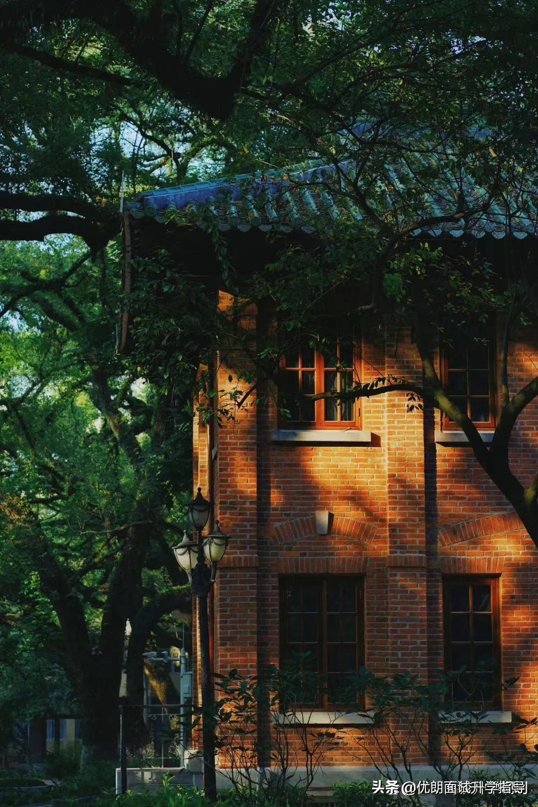 2023年中山大学综合评价招生要求,2019年中山大学综合评价招生