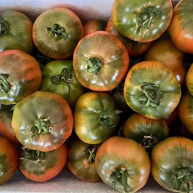 丹东附近的避暑好地方,丹东出去避暑自驾游3-4天最佳路线