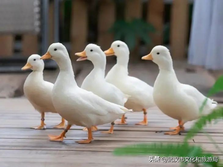 抓紧享受假期的尾巴,抓住假期小尾巴愉快的五一假期