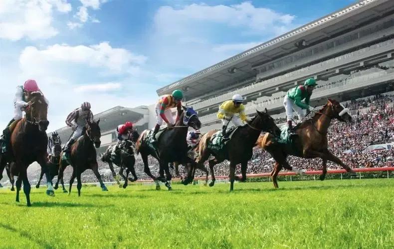 香港留学最全攻略,香港订酒店攻略