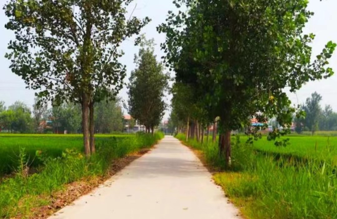 新农合涨价还能继续交吗,新农合涨价六类人不用交