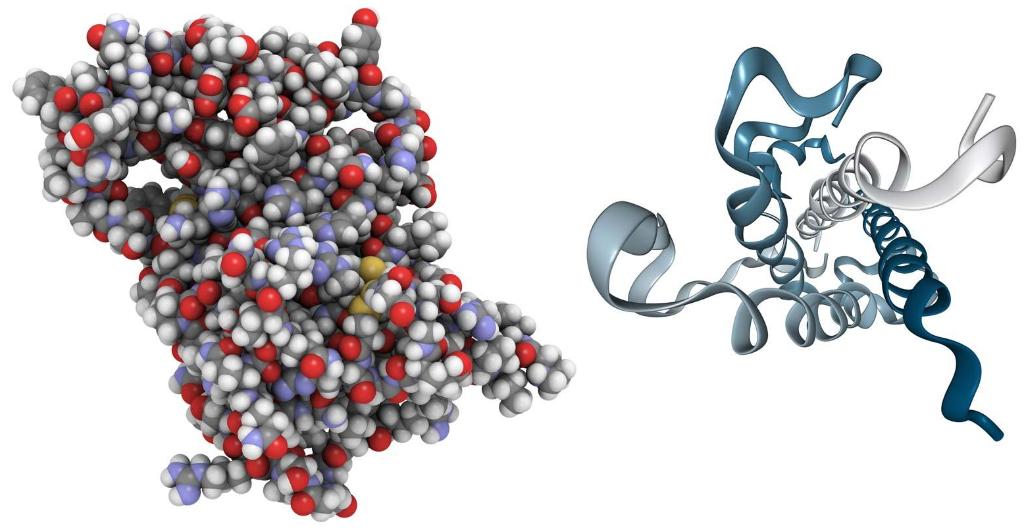 研究证明个子矮的人更长寿吗,脖子粗肚子大的人与长寿无缘吗