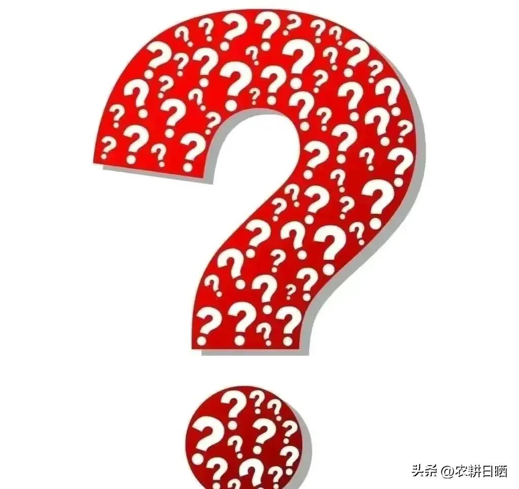 放开后十分诧异：官方失信？专家被骂？死亡率假？关键反思这三点