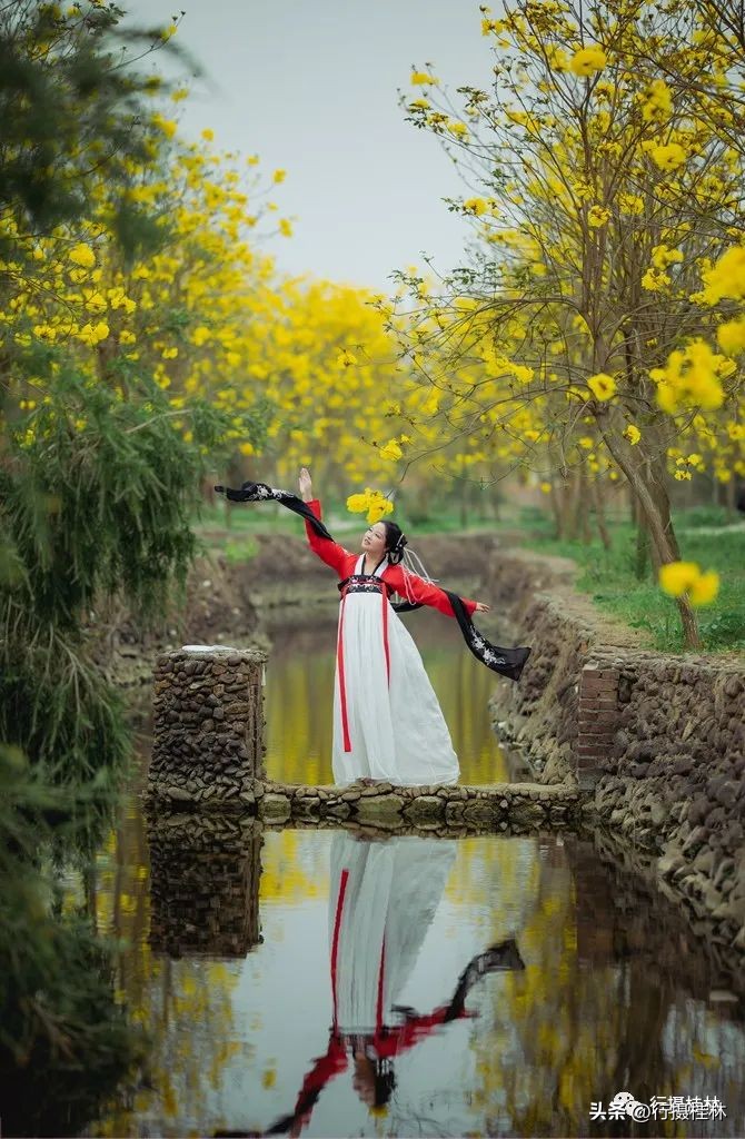 花仙子风铃,风铃花仙子
