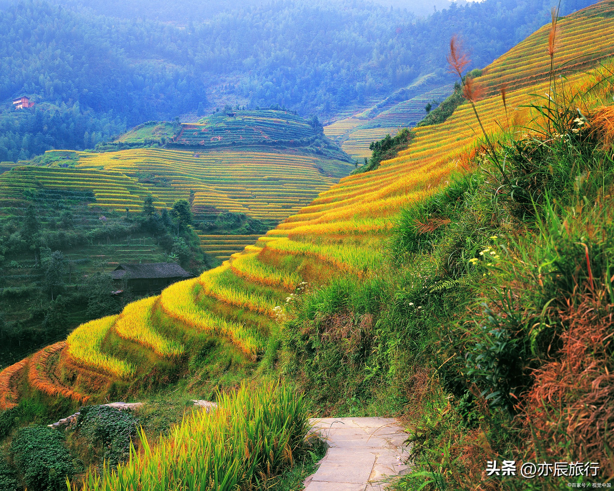 江西省9月份旅游最佳地方,江西秋天旅游景点大全推荐