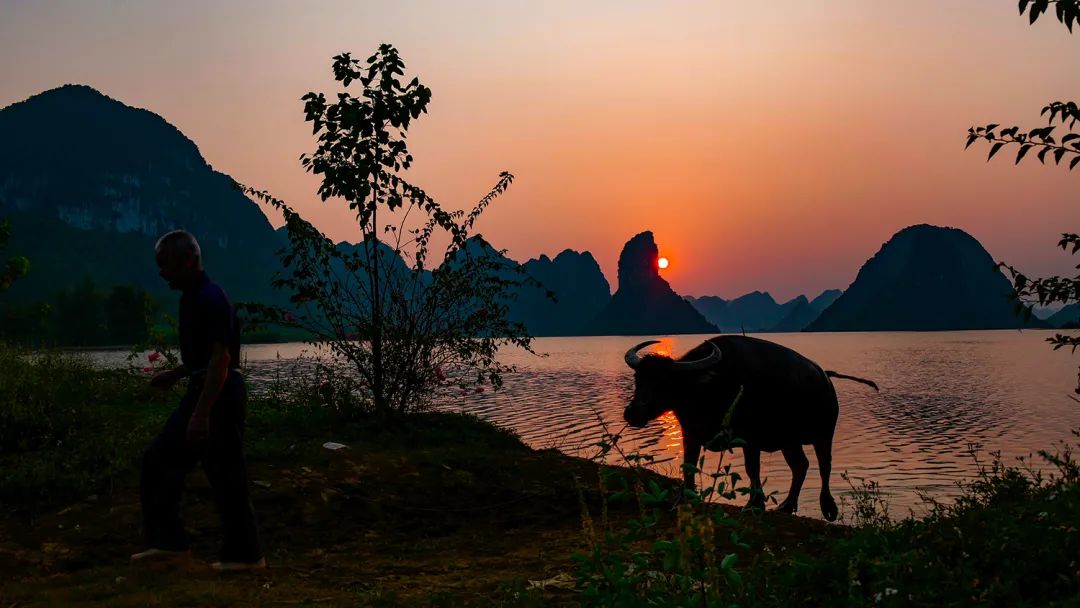 盘点影视的名场面瞬间,都市名场面