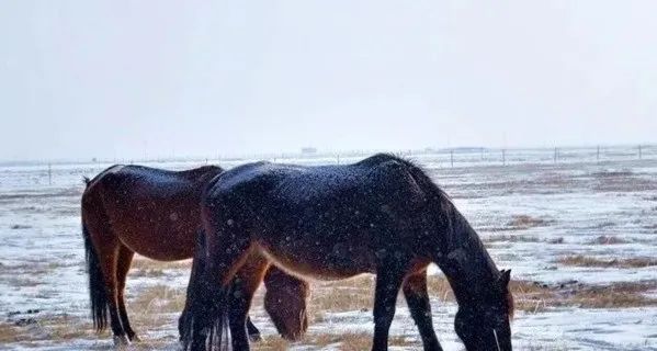 甘南什么意思,甘南县为什么叫甘南县
