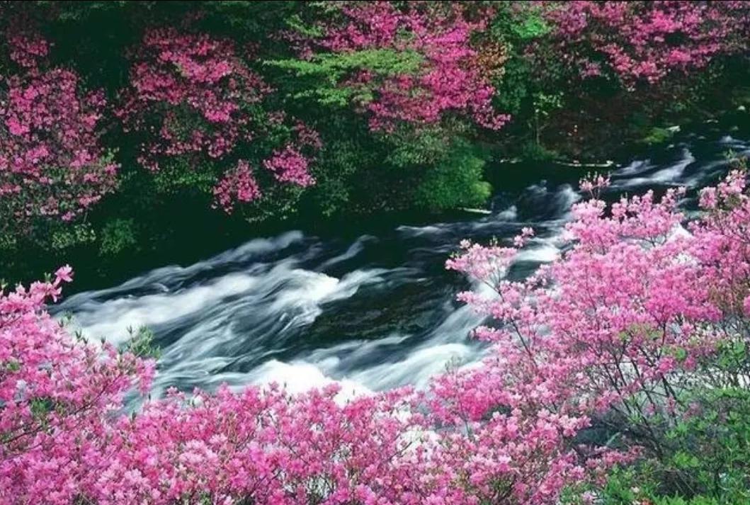 容易读错的诗词,古典诗词鉴赏与诵读