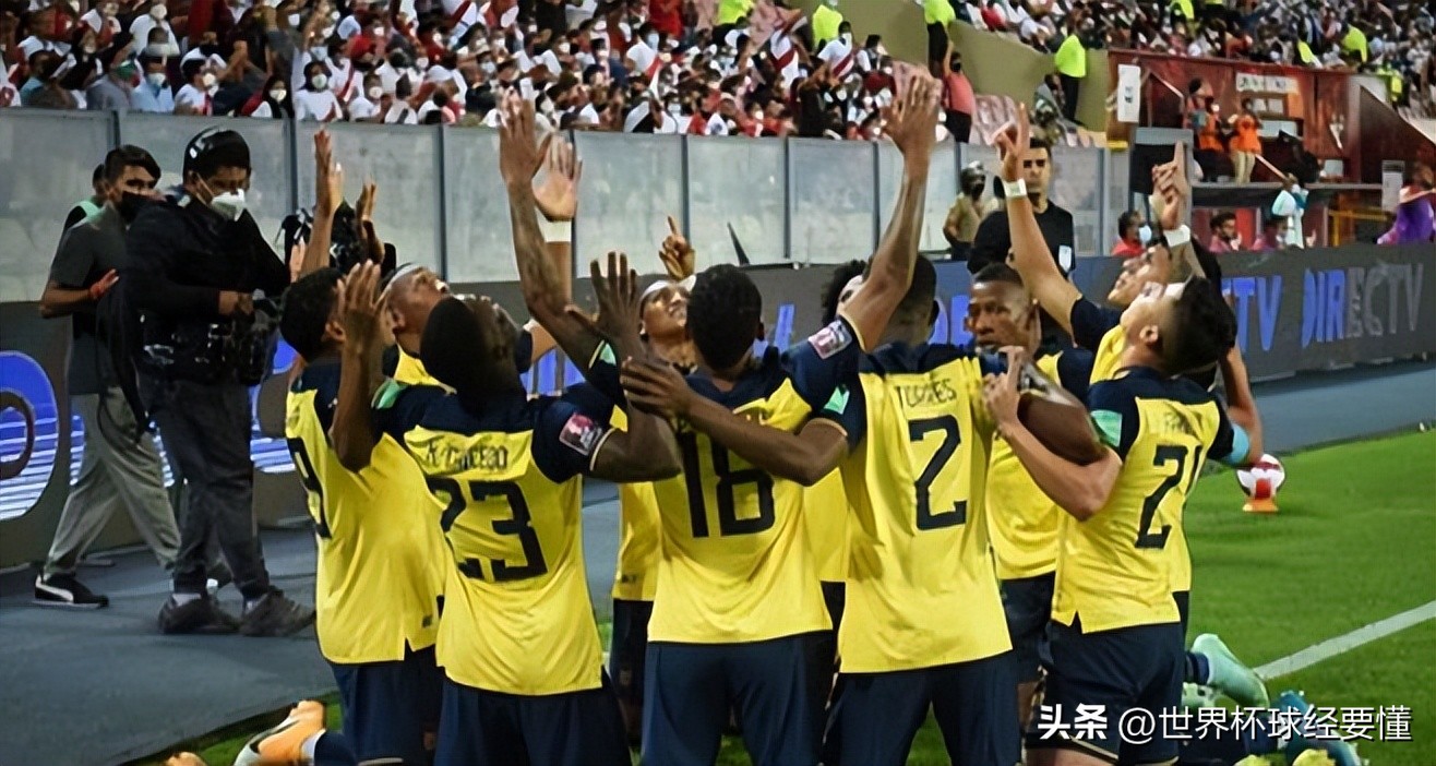 世界杯a组卡塔尔第二轮,世界杯a组赛第一阶段结果