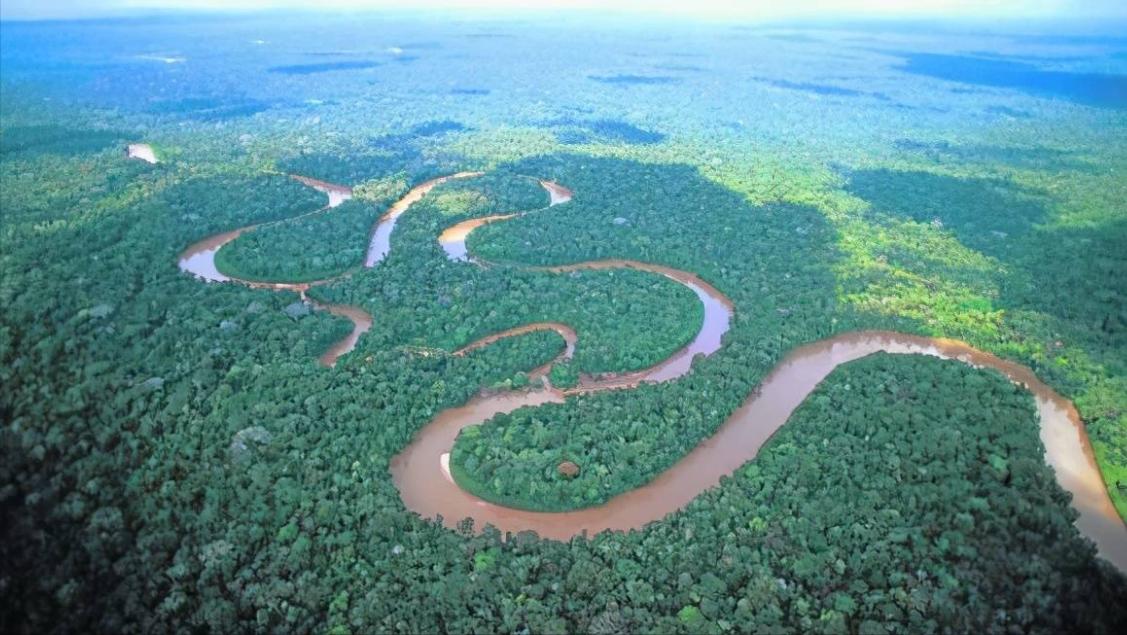 南美洲的人种特点,世界人种大熔炉是哪个大洲