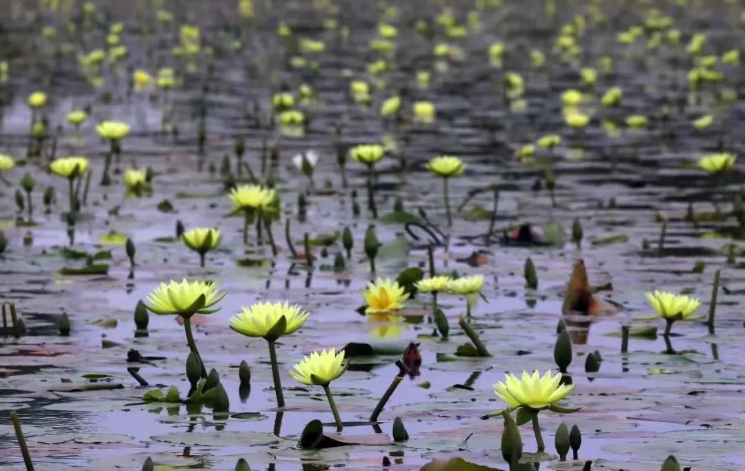 珠海斗门金湾遛娃好去处免费,金湾遛娃好去处