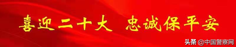 网购买菜支付后没服务骗局,网上购物被骗拉黑了怎么办