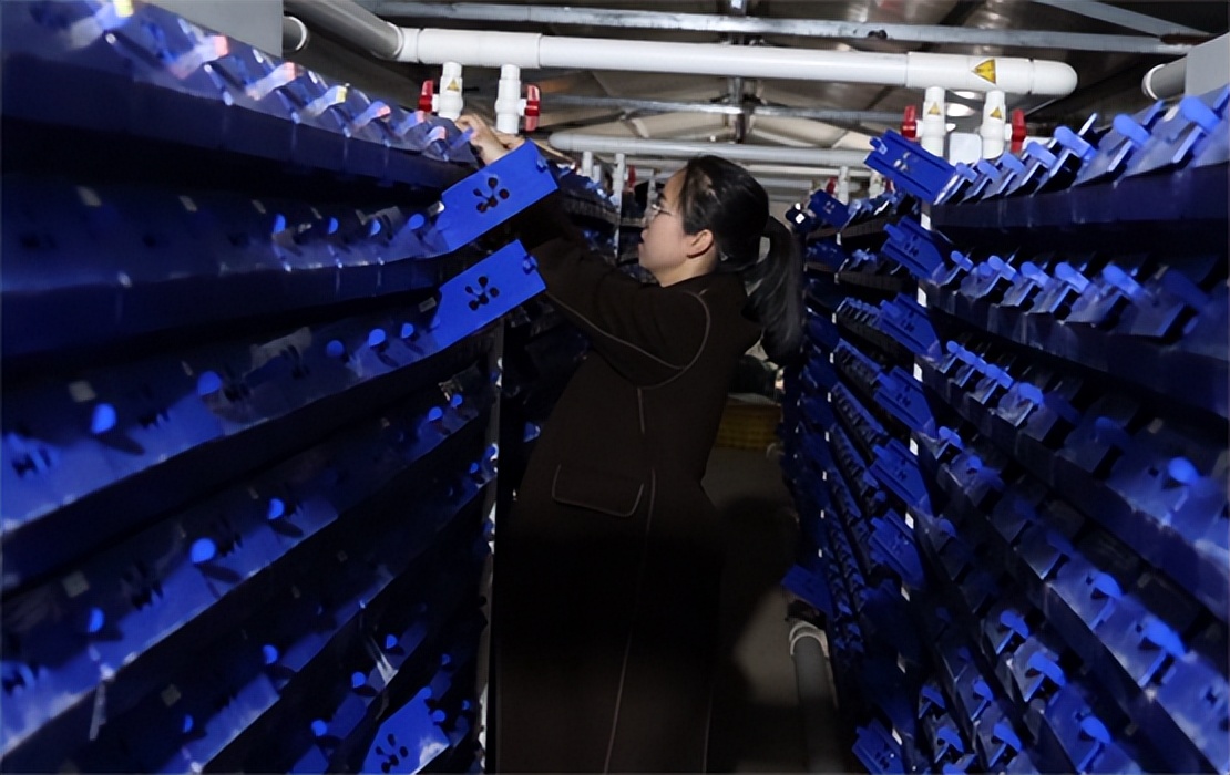 最美职校生自强自立,最美职教人毕业生