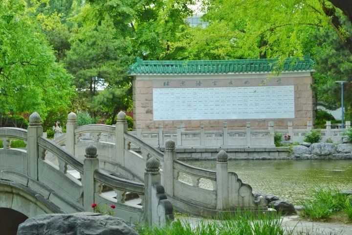 优秀的新疆小伙,优秀的新疆男孩