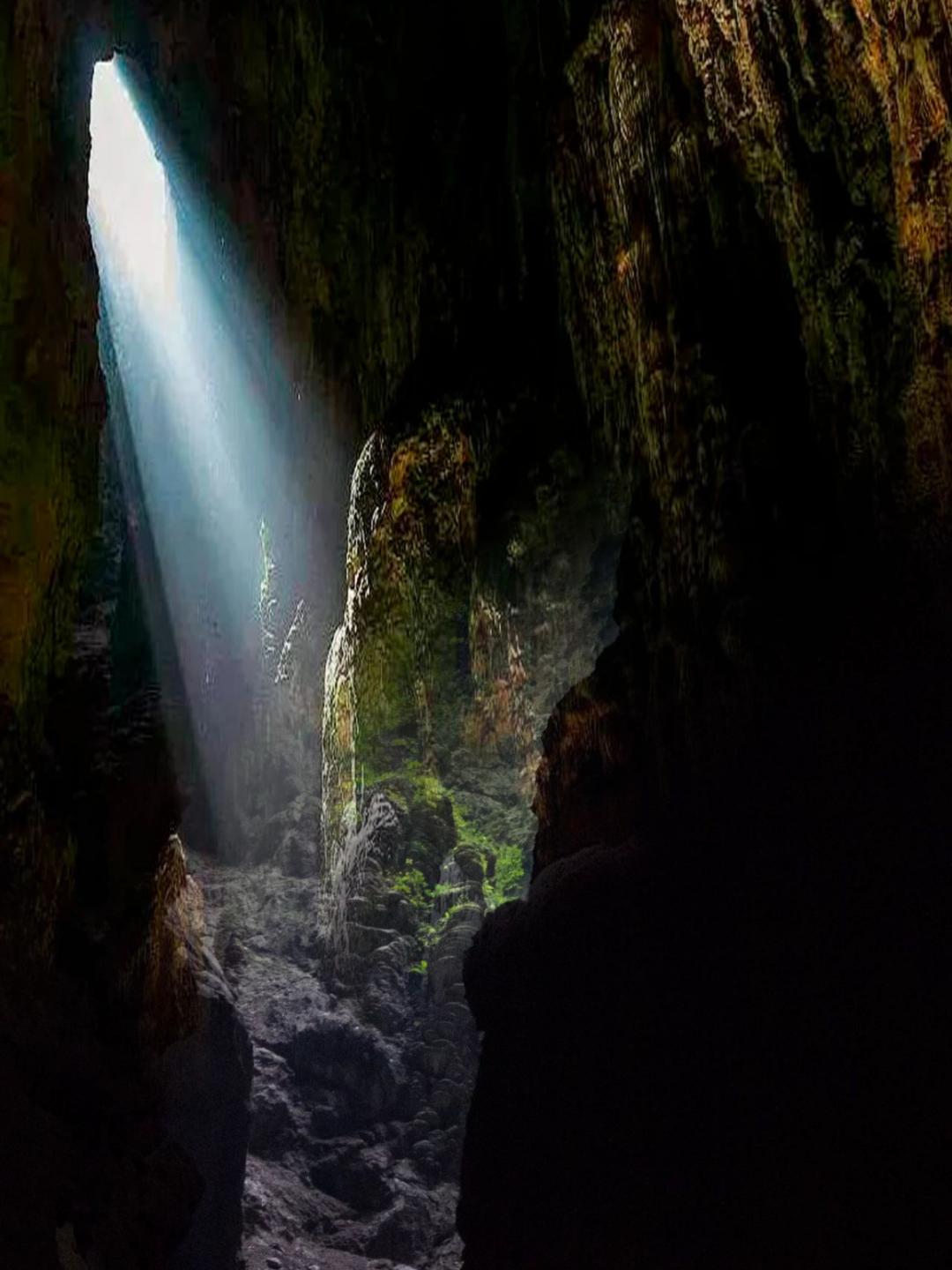 打飞的都要去坐的动车,怎么每站都这么好看