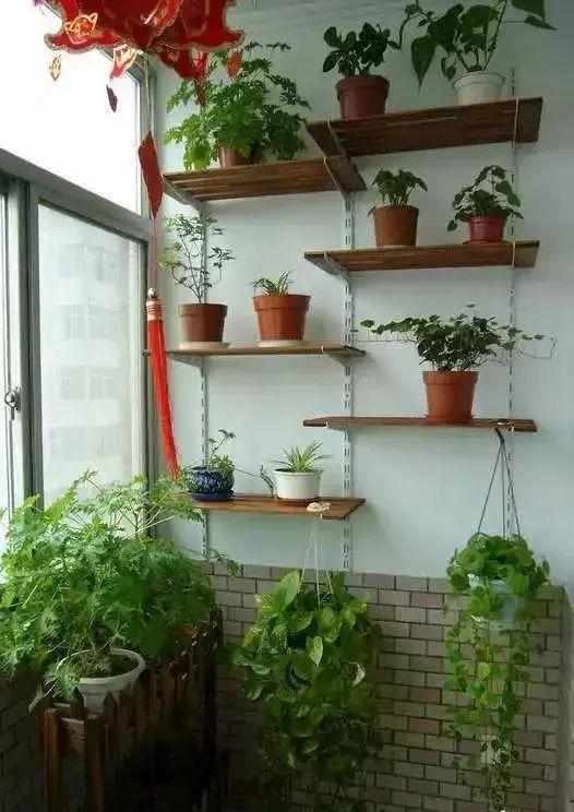 露天小阳台打造小花园效果图,卧室开放式小阳台怎么打造花园