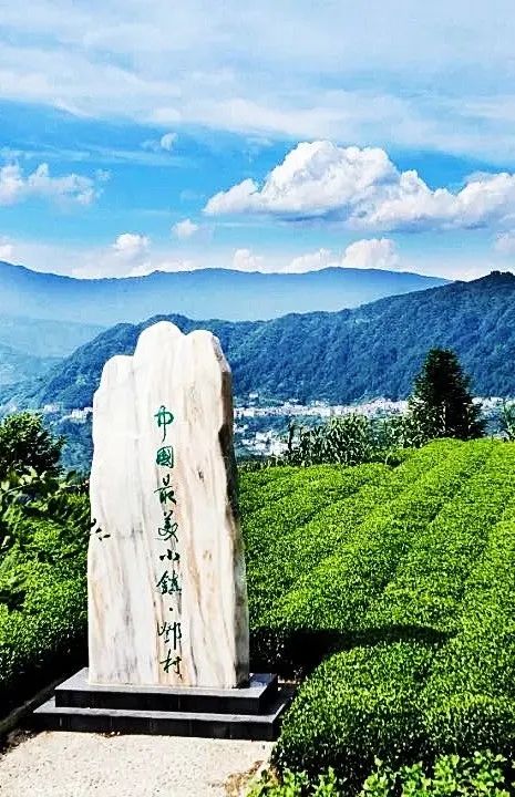 宜昌口粮茶熟茶,宜昌绿茶茶叶哪个品牌有名