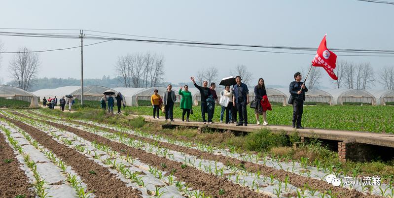 【烟火人间】忘川:富顺蔬菜产业高质量发展前景可期
