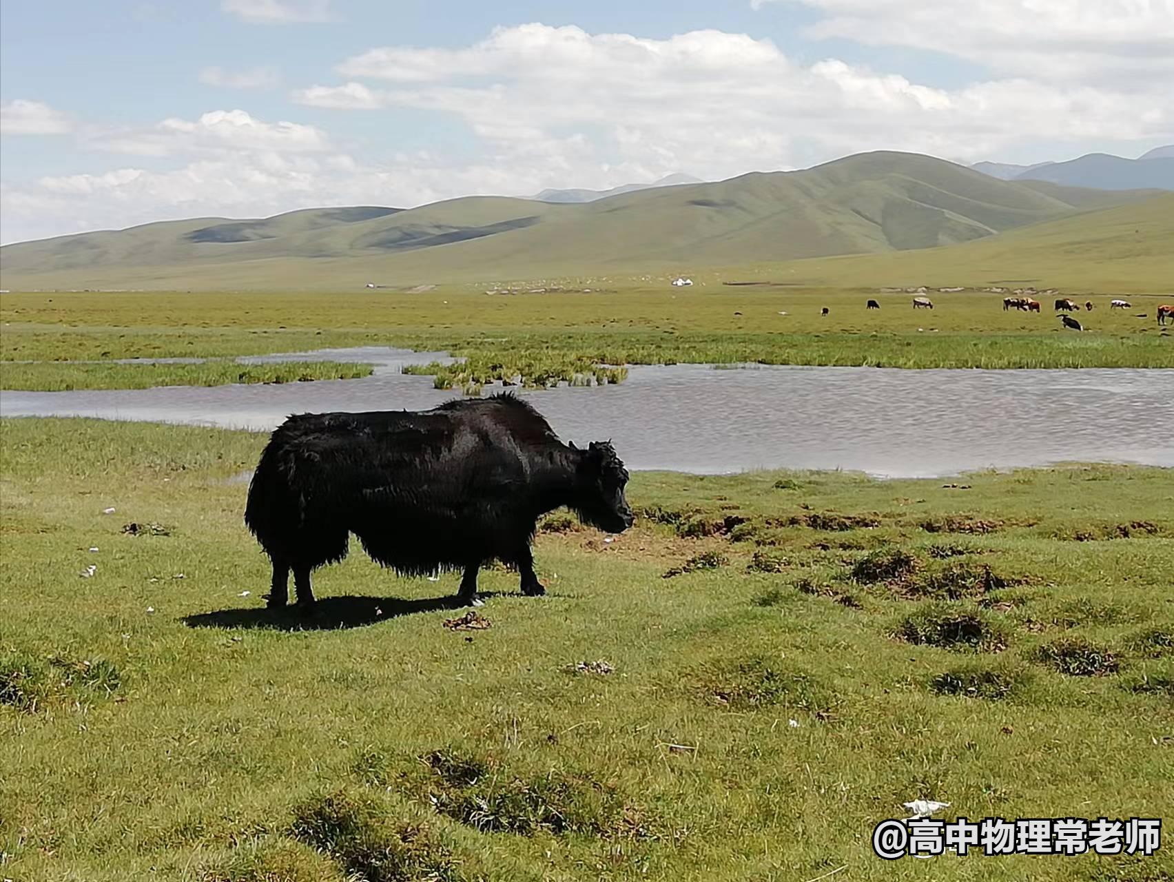 鐙簱鍏矾鐜枂鍗楀寳,鐙簱鍏矾淇￠┈娓哥枂