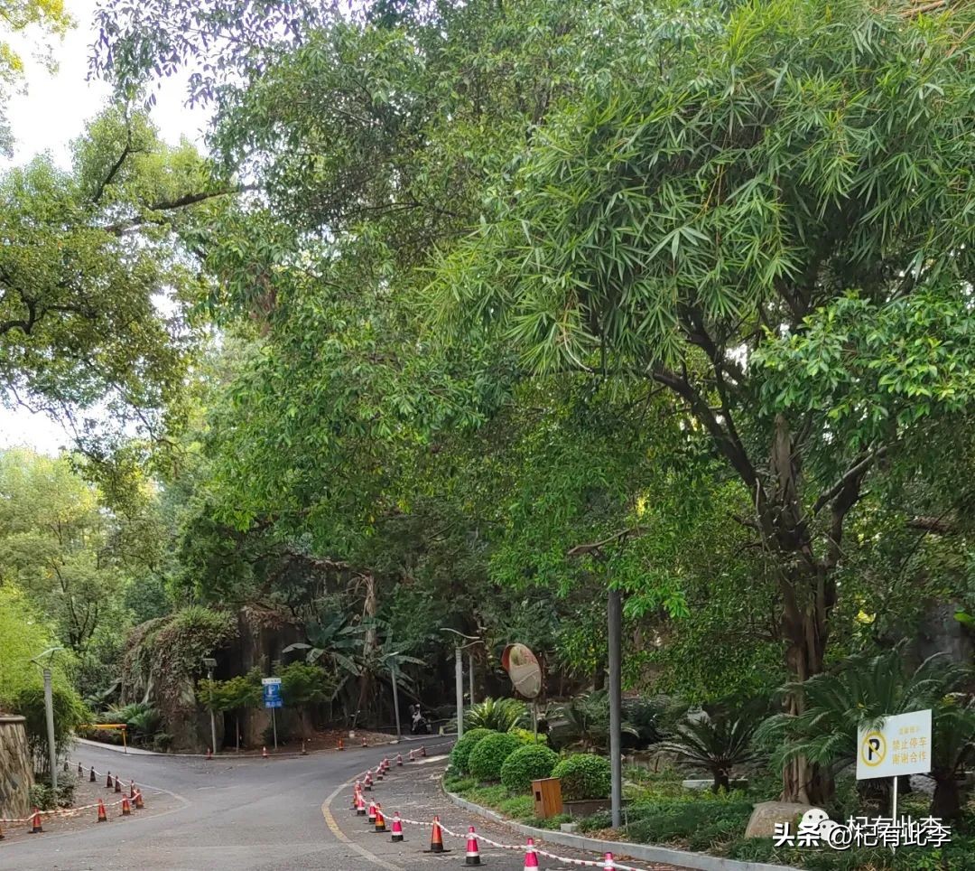 「军旅情怀」寻找103医院的踪迹