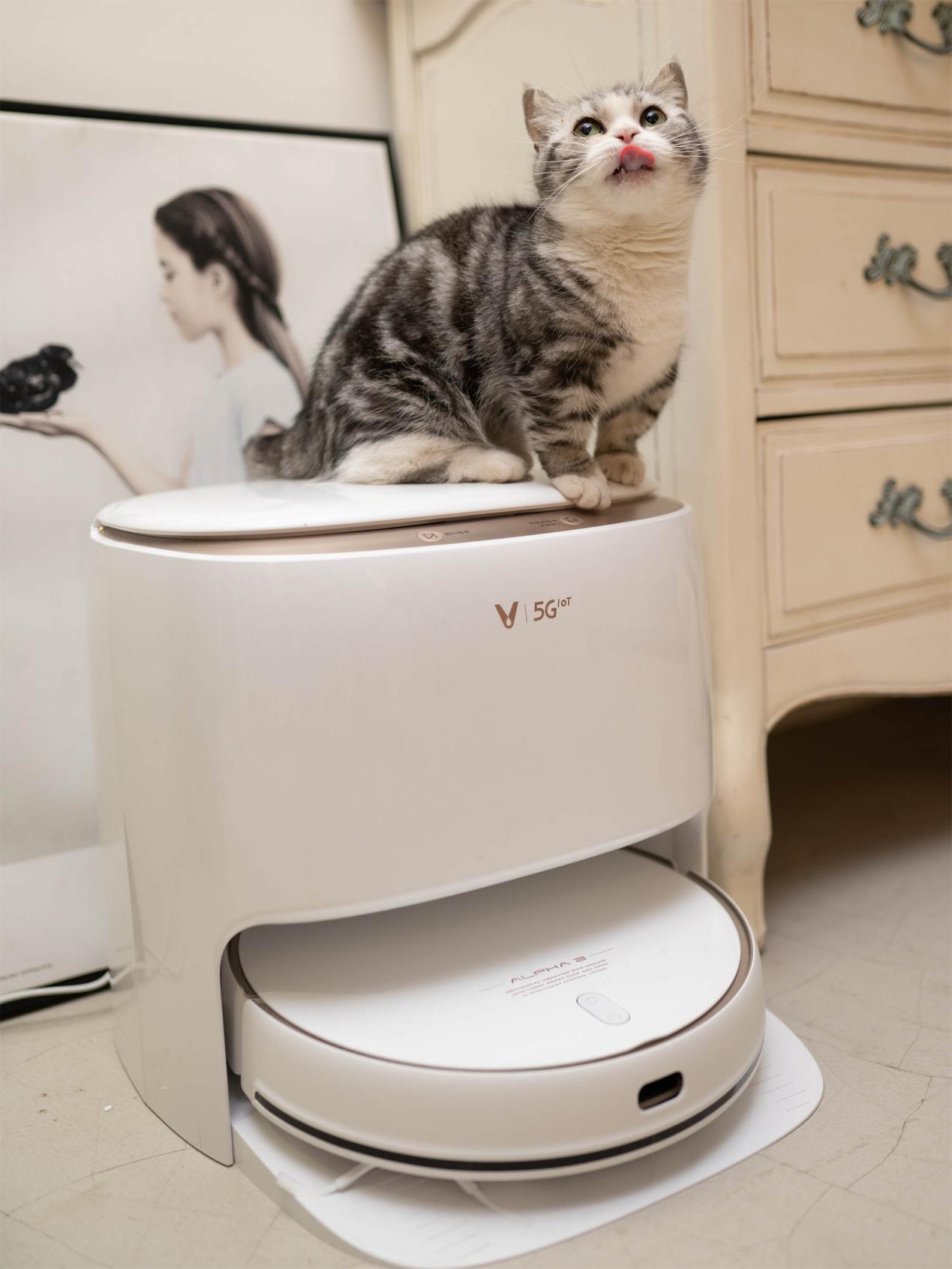 云米ai洗烘一体机清洗站拆解,云米洗烘一体扫地机