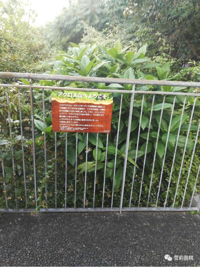 鏃ユ湰绂忓唸閫涜,鍦ㄦ棩鏈鍐堝競閫涜