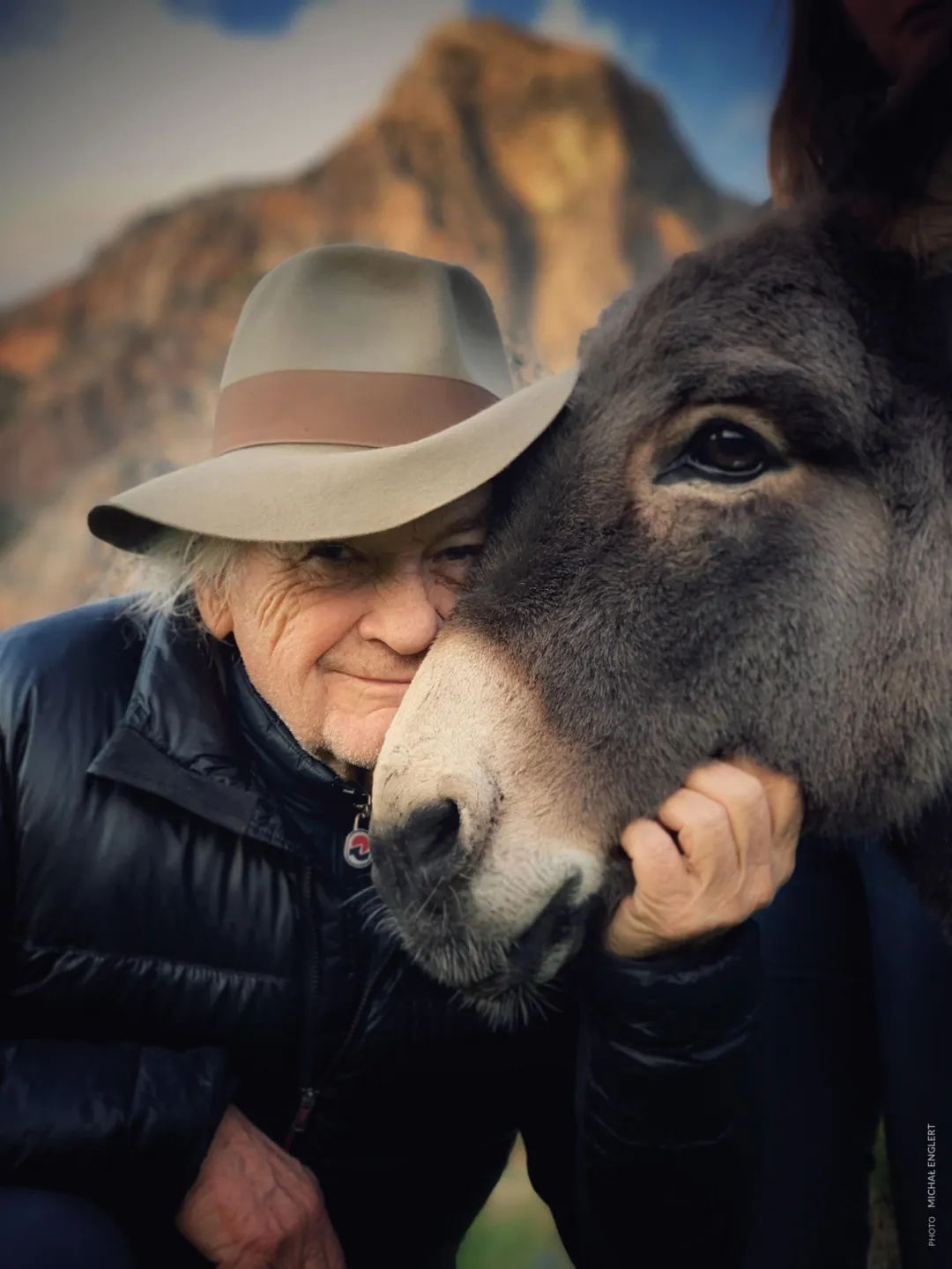 关于驴的电影大全,关于驴的电影解说