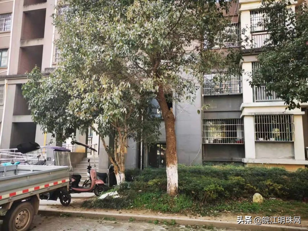 芜湖整治物业的原因是什么,芜湖这42家小区物业被约谈