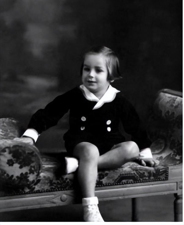 阿兰德龙颜值巅峰佐罗,阿兰德龙佐罗年轻照片