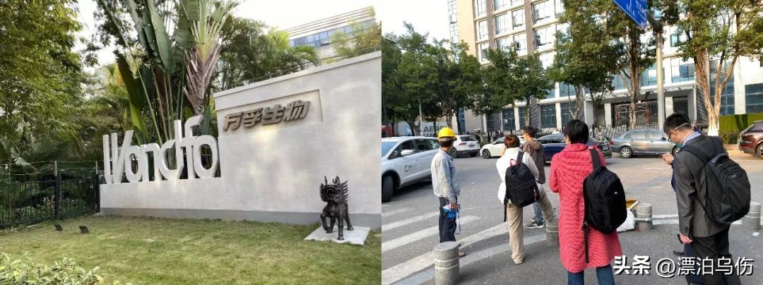 提着900万现金，去厂里抢抗原