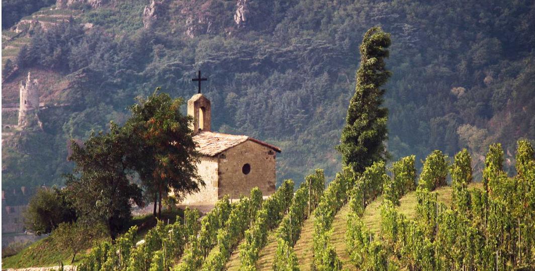 法国罗纳河谷葡萄酒,法国列级酒庄红酒推荐