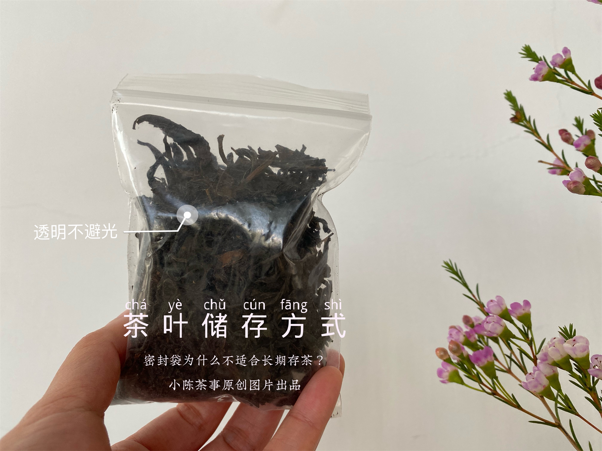 用防潮袋密封存茶可以吗,密封袋里的茶怎么储存