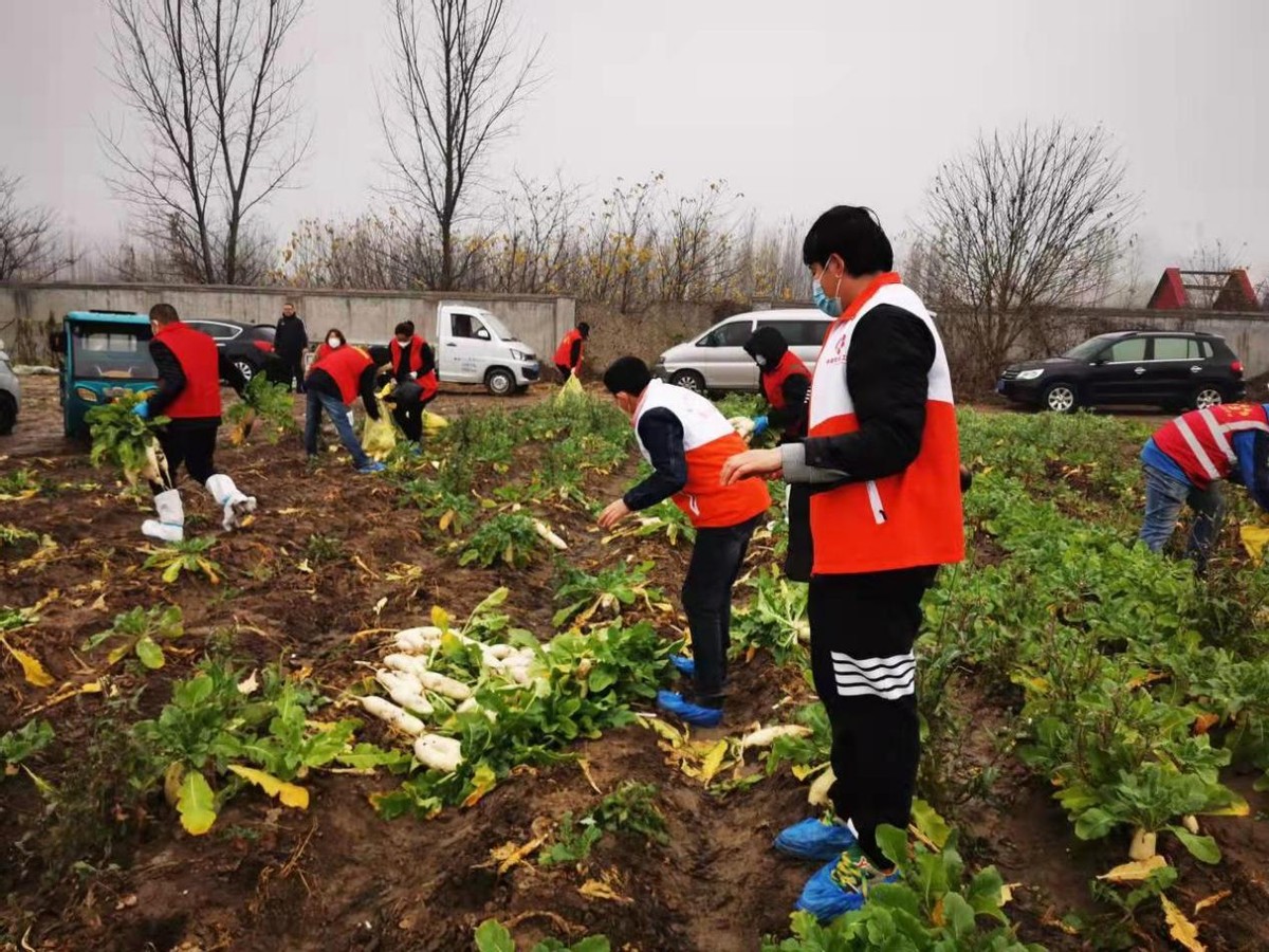 五社联动聚合力专业服务暖民心,社工五社联动活动
