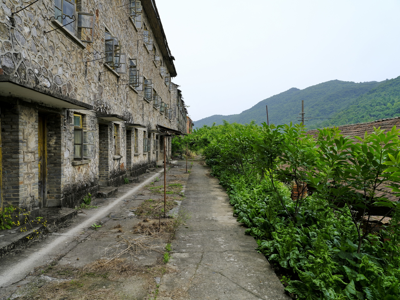 宜都717三线工厂,宜都717厂历史