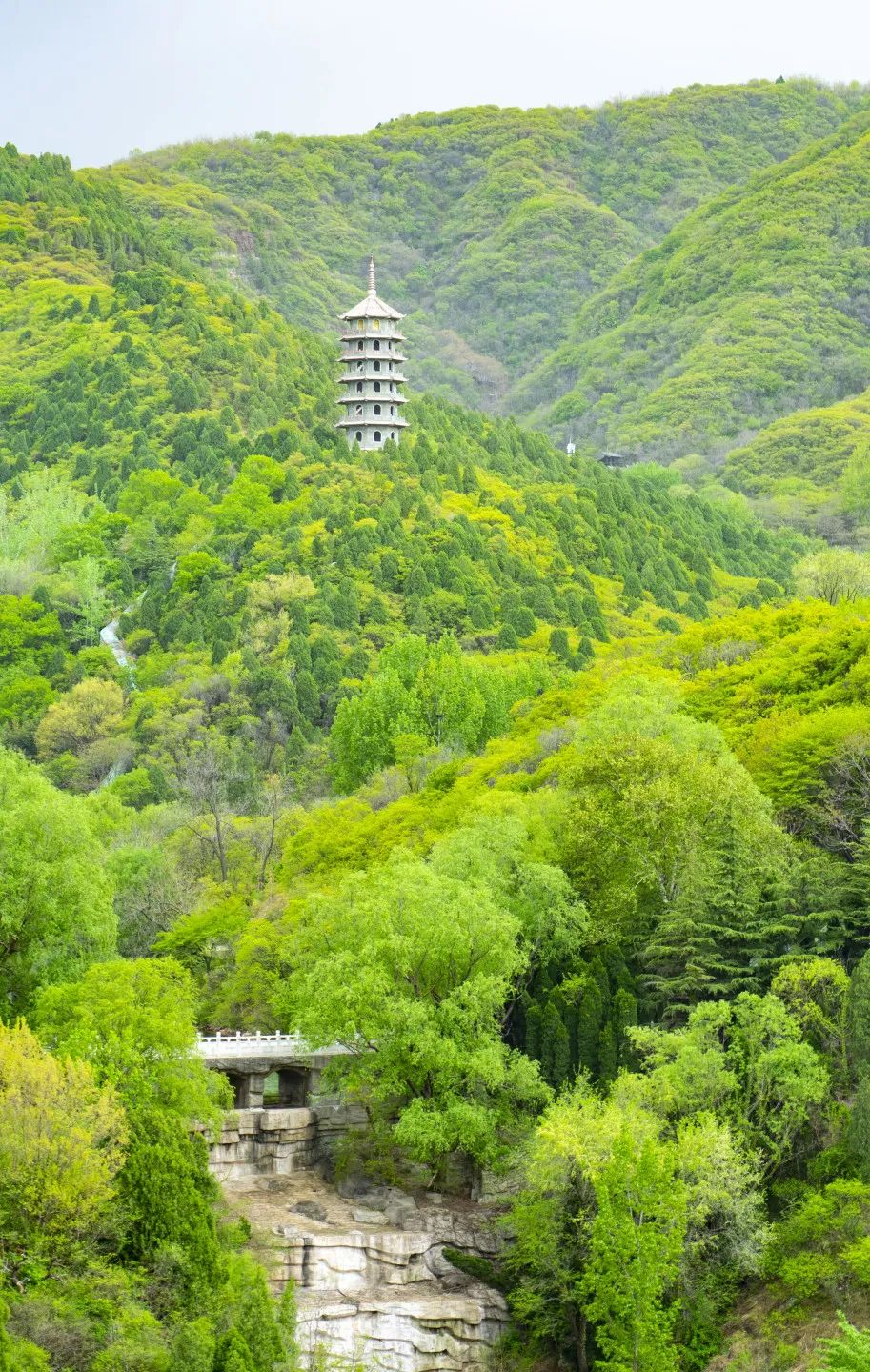 519旅游日免门票广西,2024年519中国旅游日景区优惠