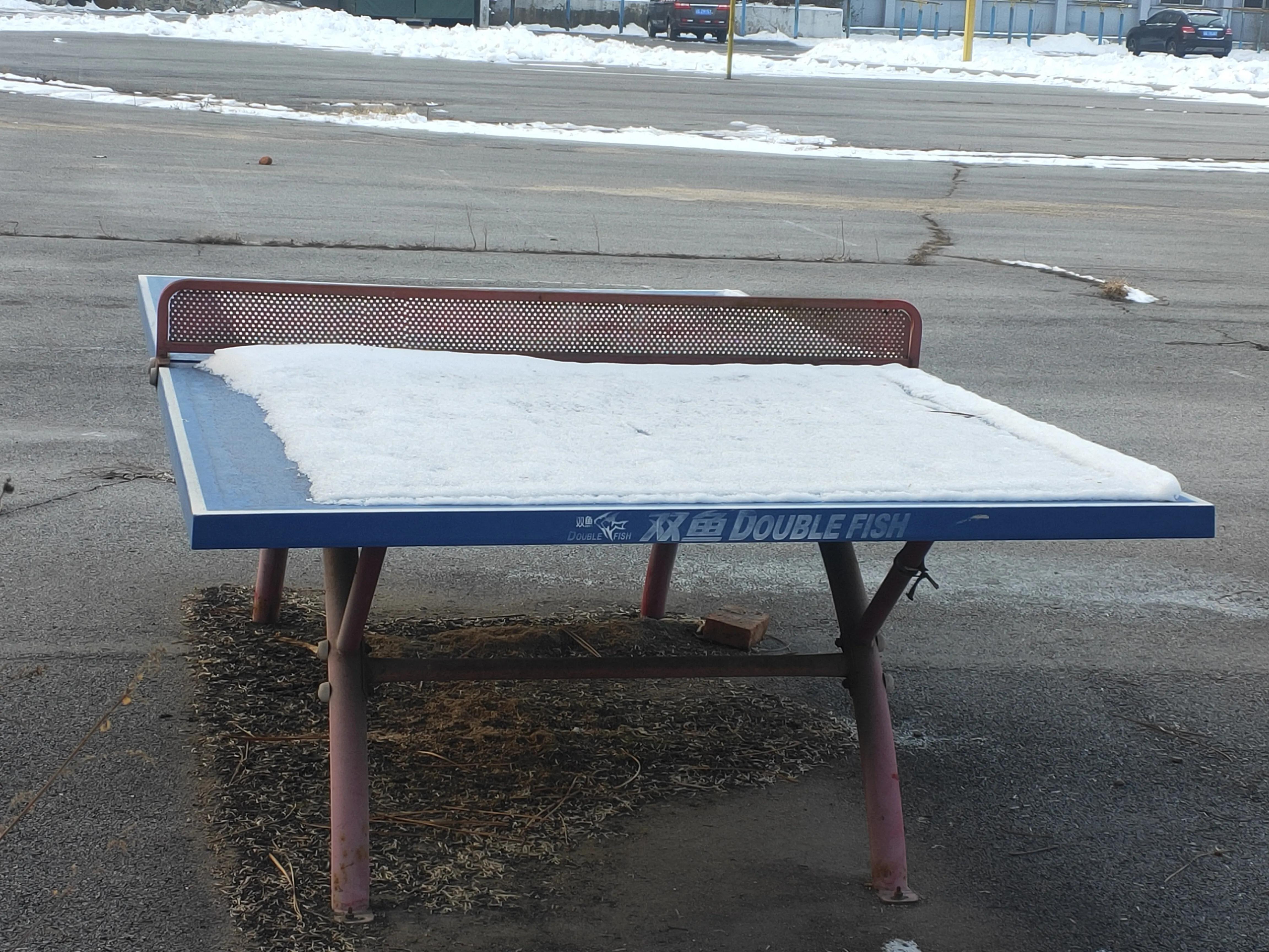 儿童乒乓球衣推荐,长袖运动衣乒乓球