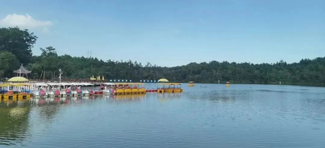 2019年厦门秋游,厦门高中秋游