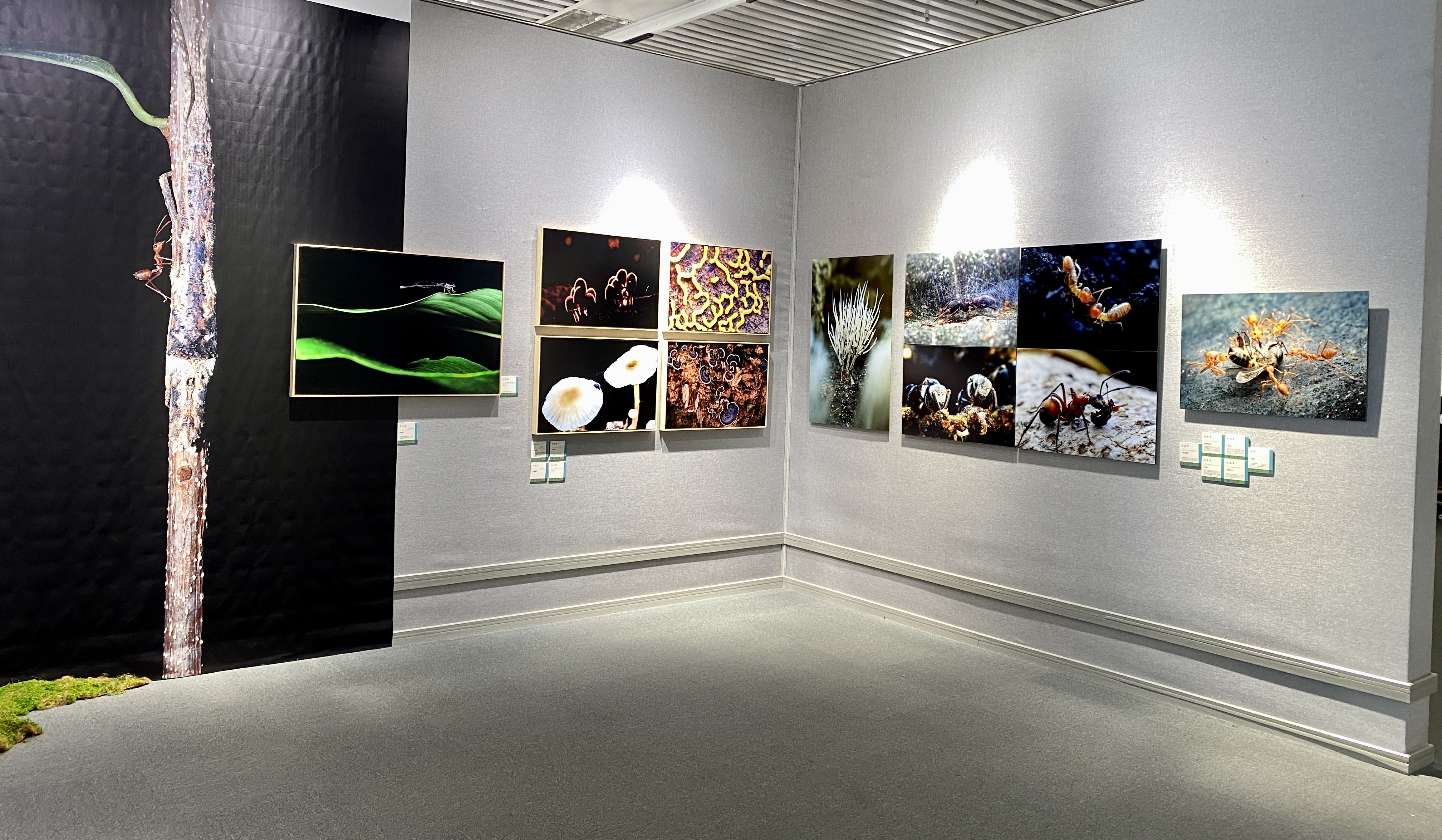 云南省第四届摄影作品展,云南摄影艺术展征稿