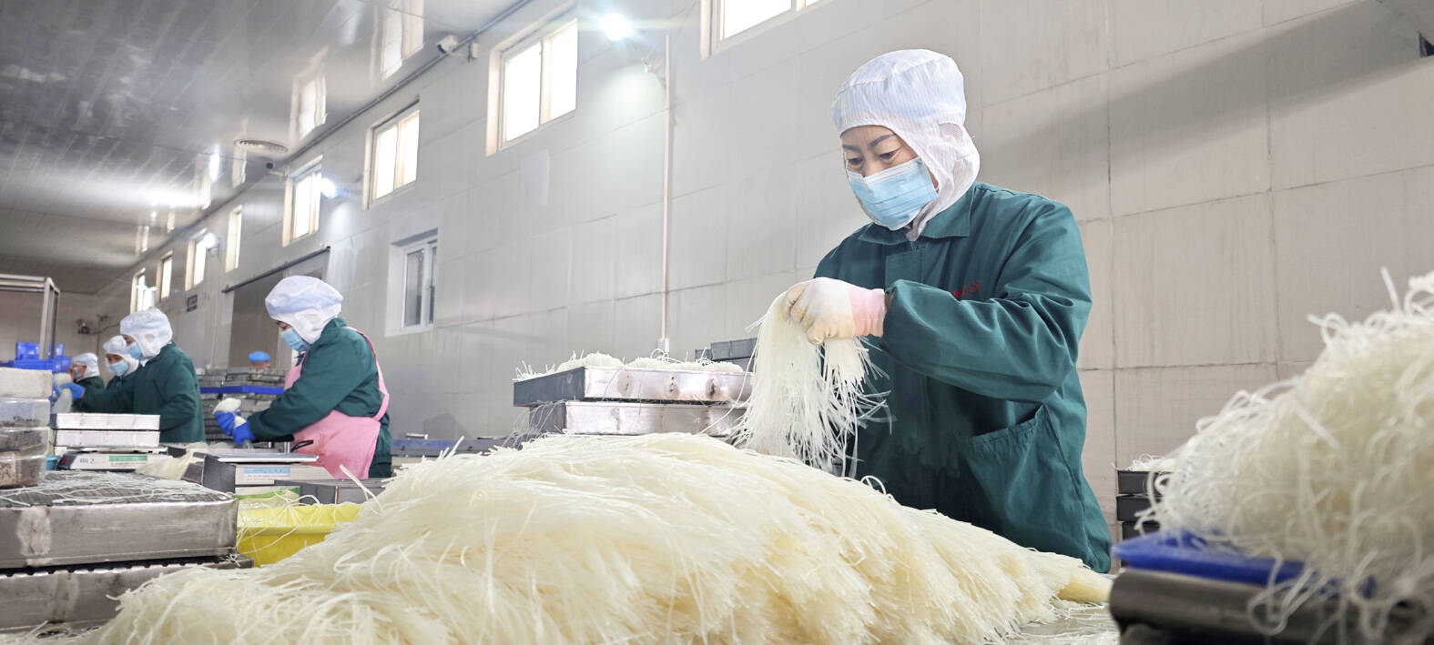 科技创新助力农业高质量发展,科技助力农业绿色高质量发展