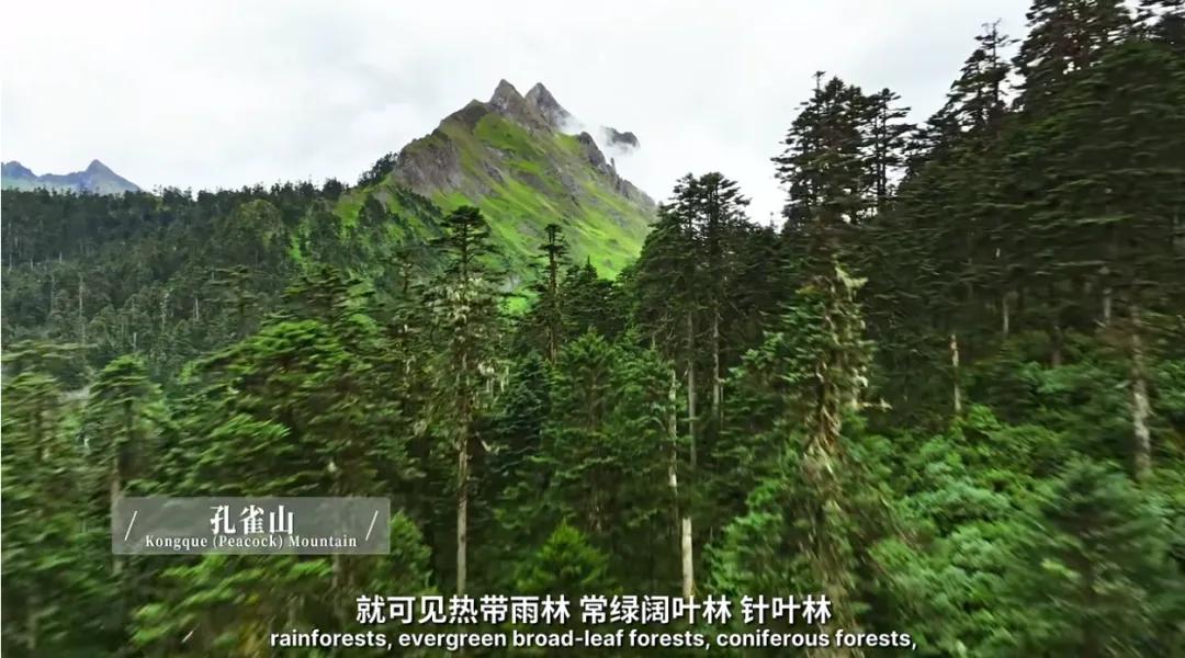 万千气象看云南|《什么是云南》，这就是云南！