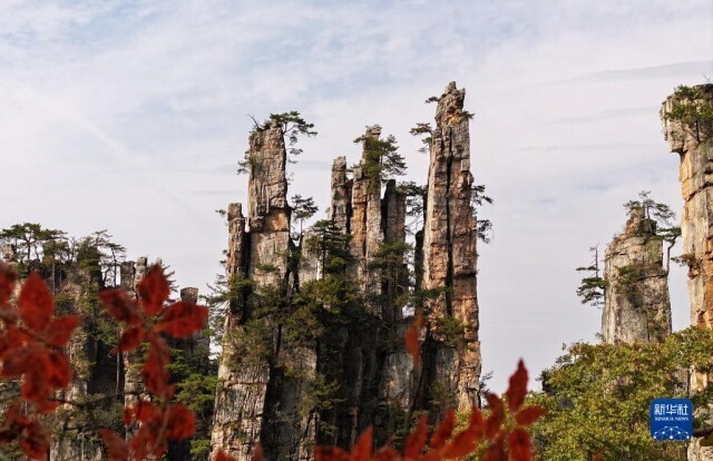 冬景迷人,冬景如画