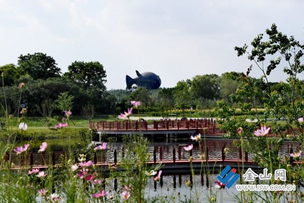 千年绿岛美如画，长江绿肺惬意“深呼吸”