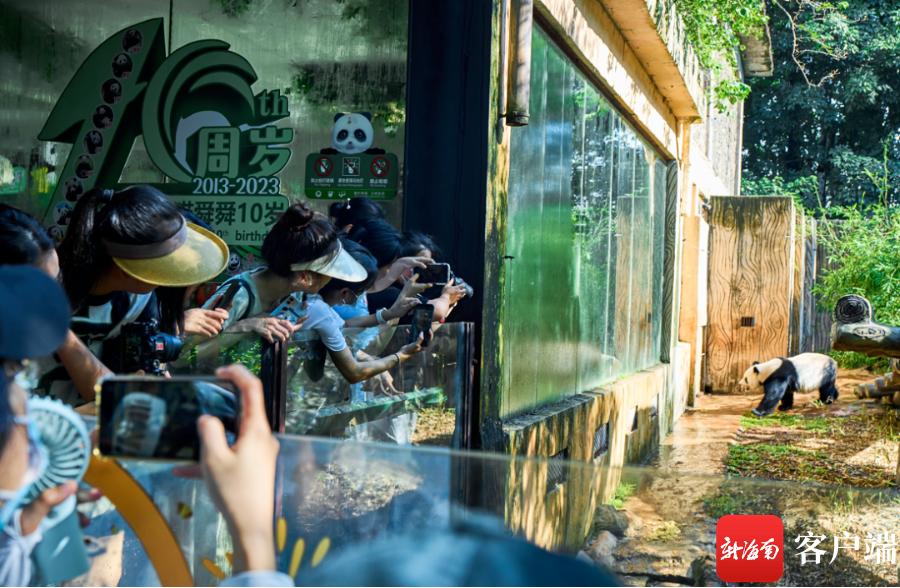 海口西海岸休闲好去处,海口秀英区附近好玩的地方推荐