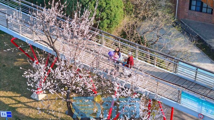 娓歌娉夊煄鍏洯,娉夊煄鍏洯娓歌