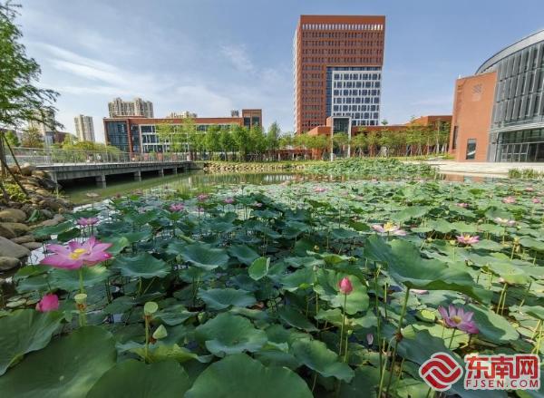 湄洲湾职业技术学院学习氛围好吗,湄洲湾职业技术学院教育水平